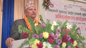 Read more about the article ‘सहकारी सिङ्गो अर्थतन्त्रको आधार’