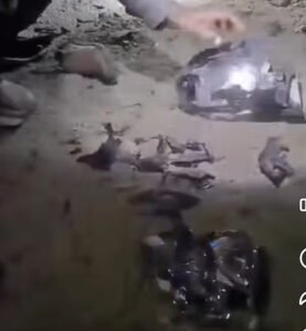 Read more about the article रोङमा टिपरको ठक्करबाट बाबुछोरा गम्भीर घाइते