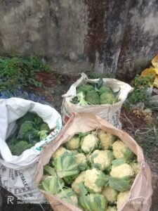 Read more about the article बिर्तामोडमा भारतीय नागरिकद्वारा गरिएको तरकारी खेतीमा विषादीको मात्रा उच्च