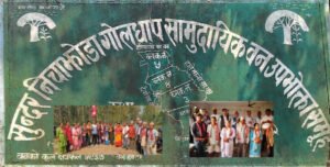 Read more about the article निचाझोडा सामुदायिक वनको चुनावमा एमाले एक्लै मैदानमा, चारदलीय गठबन्धनको चुनौती
