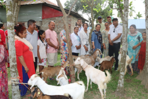 Read more about the article बिर्तामोडमा बाख्रा साटासाट कार्यक्रम : १५ कृषकलाई ४५ वटा बाख्रा वितरण