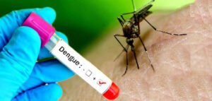 Read more about the article झापामा डेंगु संक्रमण बढ्दो, बिर्तामोडमै ३७ संक्रमित