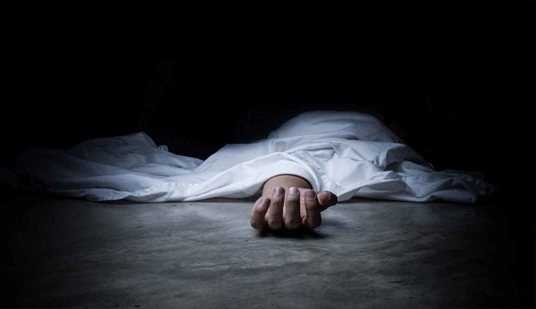 Read more about the article शौचालयमा लडेर हल्दिवारीका मेचेको मृत्यु