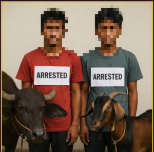 Read more about the article राँगा र बोका चोरी गर्ने दुई जना खुदुनाबारीको बजारमा पक्राउ