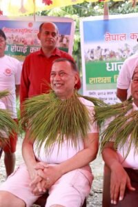 Read more about the article बार्हदशीमा मनायो  एमालेले  धान दिवस 