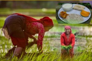 Read more about the article असार १५ (धान दिवस): माटो, मेहनत र फलको संगम