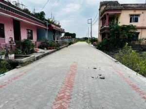 Read more about the article बिर्तामोड–३ मा १९ लाख लागतमा सडक निर्माण सम्पन्न