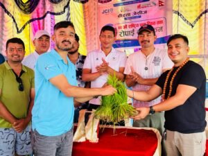 Read more about the article वीरता जेसीजद्वारा धान दिवसमा रोपाईं कार्यक्रम — युवालाई माटोसँग जोड्ने प्रेरणादायी पहल