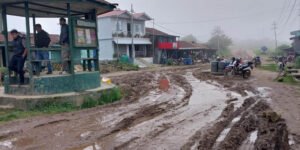 Read more about the article दमक–चिसापानी सडक अझै पनि पूरा भएन