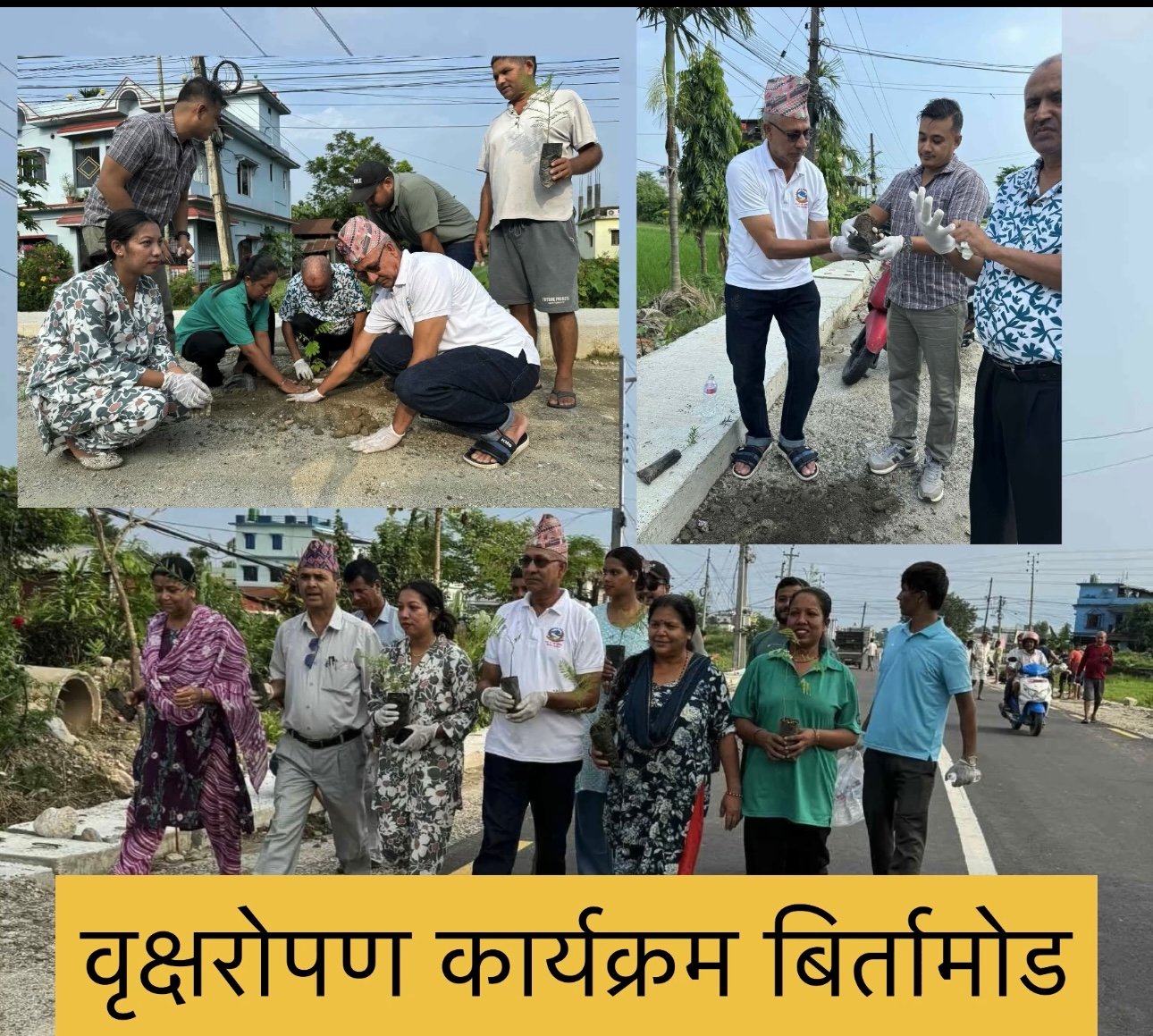 Read more about the article बिर्तामोडमा सहिद चन्द्र मार्ग किनारमा बिरुवा रोपण सुरु