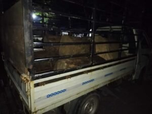 Read more about the article काठका गोलिया सहित चालक नियन्त्रण