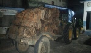 Read more about the article झापाको बुद्धशान्तिबाट अवैध काठसहित ट्र्याक्टर र चालक नियन्त्रणमा