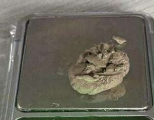 Read more about the article भद्रपुरमा लागु औषध सहित युवक पक्राउ