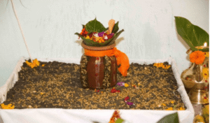 Read more about the article आज वैदिक विधिपूर्वक घटस्थापना गरी जमरा राखिएको छ 