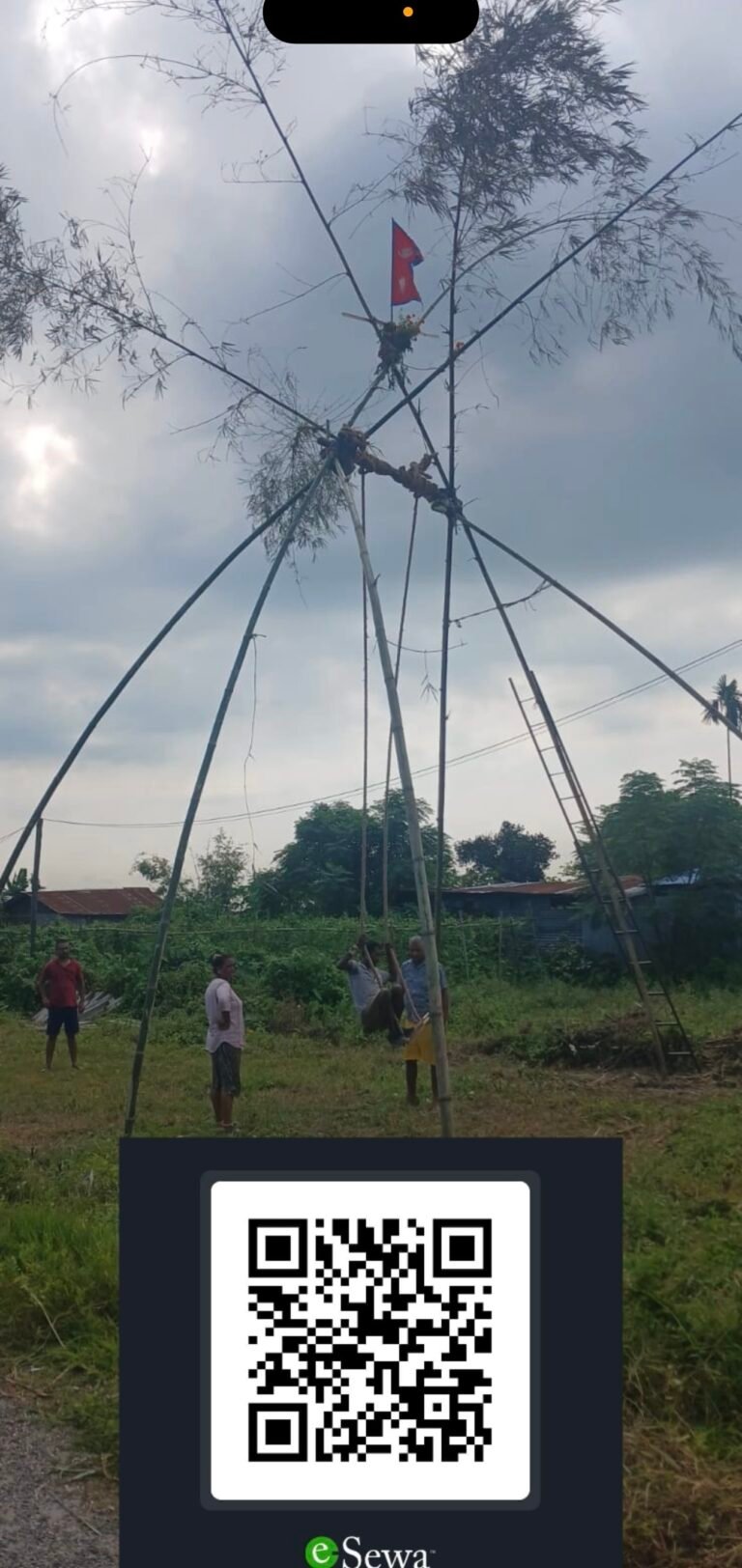 नव आदर्श टोलमा दशैंको माहोल  लिङ्गे पिङ निर्माण नयाँ पुस्ता संस्कृति जोगाउदै 