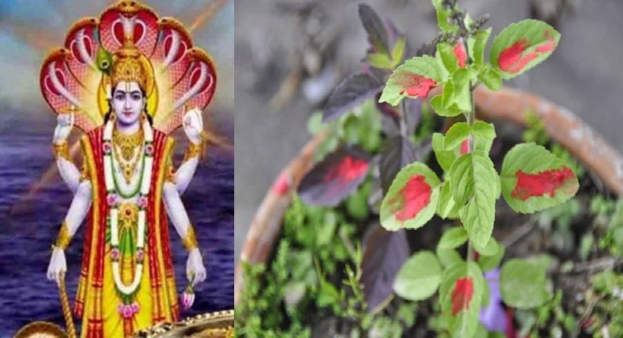 Read more about the article हरिबोधनी एकादशी पर्व आज श्रद्धा र भक्तिपूर्वक मनाइँदै