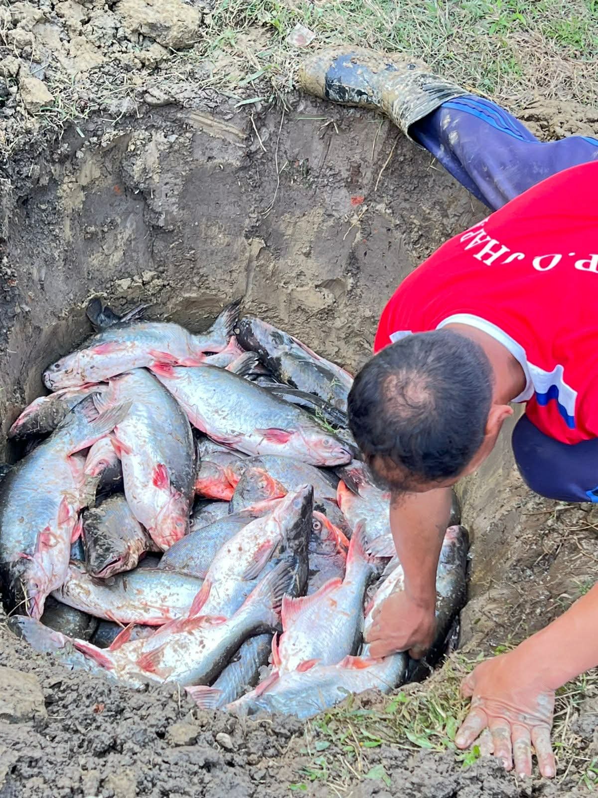 Read more about the article ठुलो परिणामका अवैध माछा बरामद गरी नष्ट 