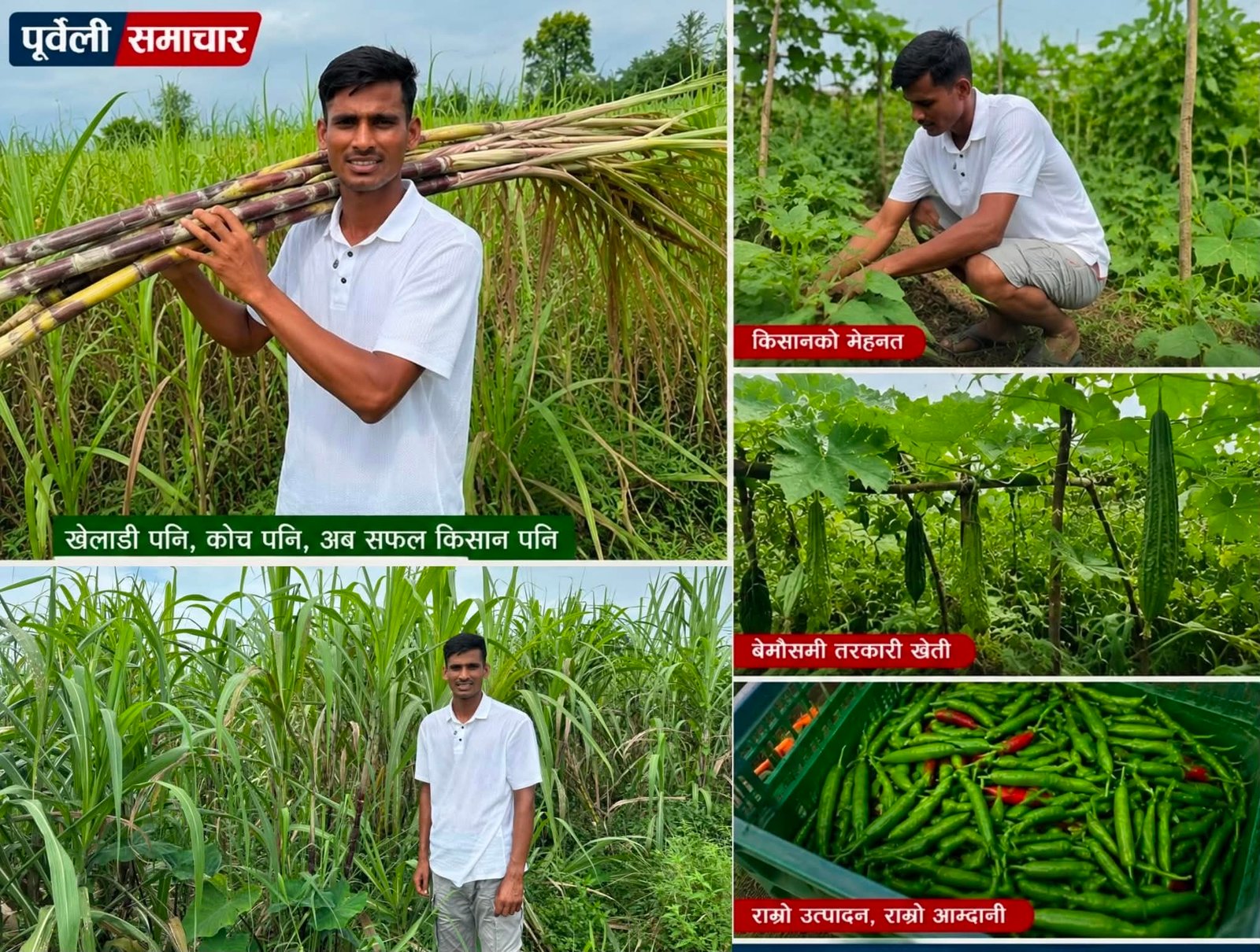 Read more about the article राष्ट्रिय भलिबल खेलाडीबाट सफल किसान बने भरत यादव 